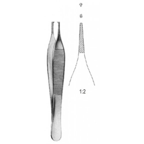 Adson Tissue Forceps, 1×2 Teeth, with cross Serrated, 12cm