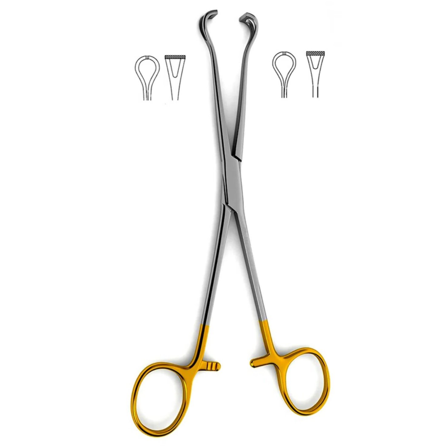 Babcock Tissue Forceps cross Serrated, 20cm