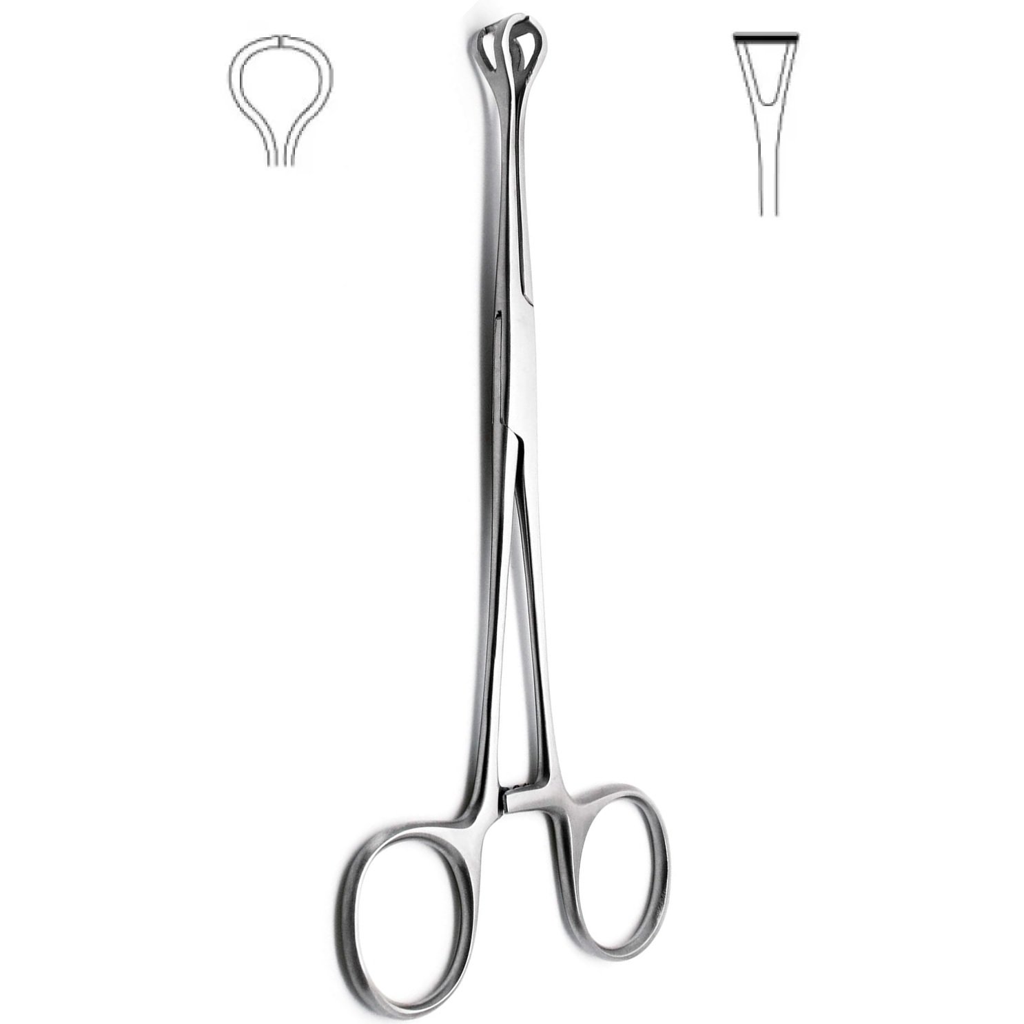 Babcock Tissue Forceps Long Serrated 24cm