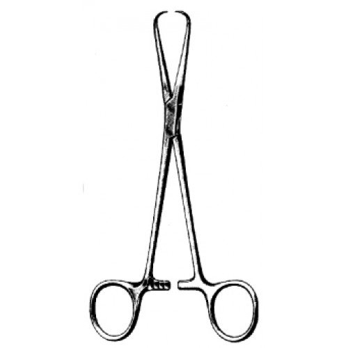 Bernhard Towel Forceps 16cm