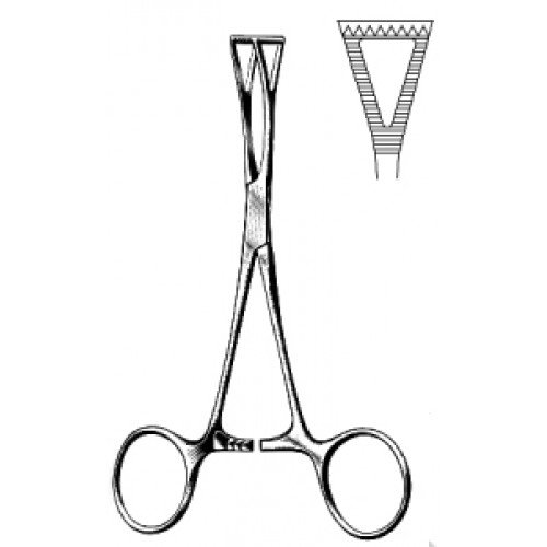 Collin Tissue Forceps triangular 14cm