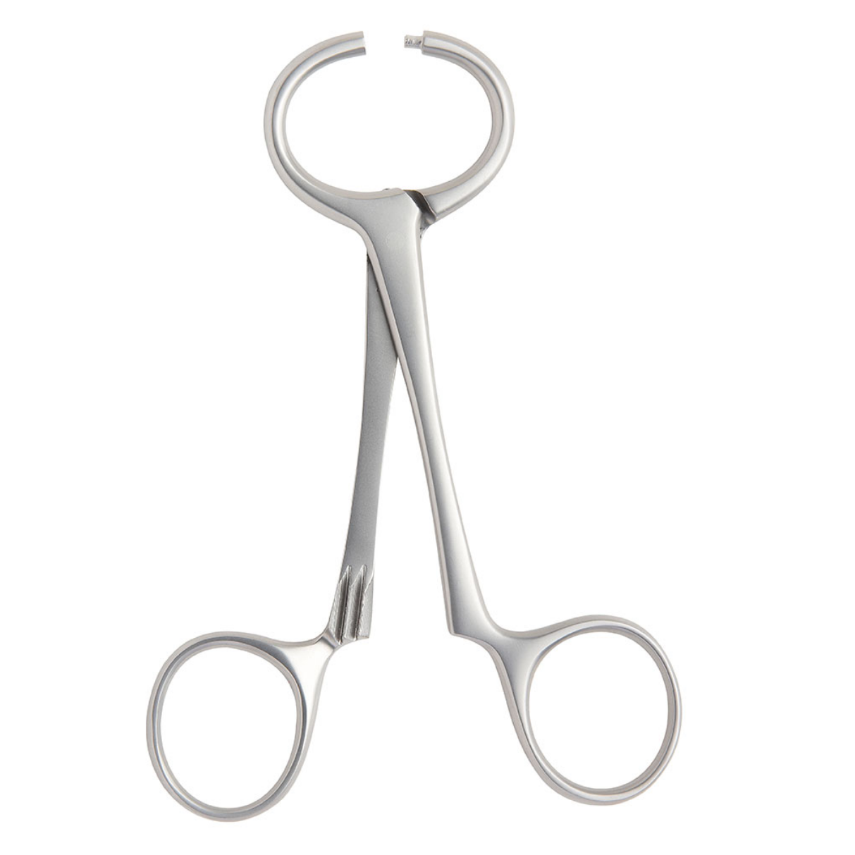 Collingwood-Stewart Hernia Ring Forceps, Ring Bladed with Screw Joint, 140mm