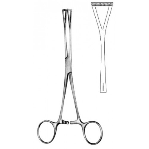 Duval Grasping Forceps 13mm wide, 18cm