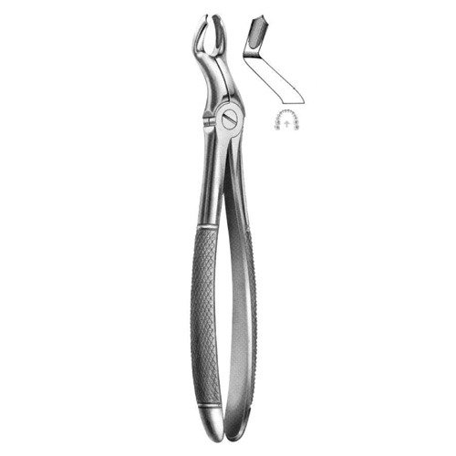 Extracting Forceps English Pattern No 67 1/2R