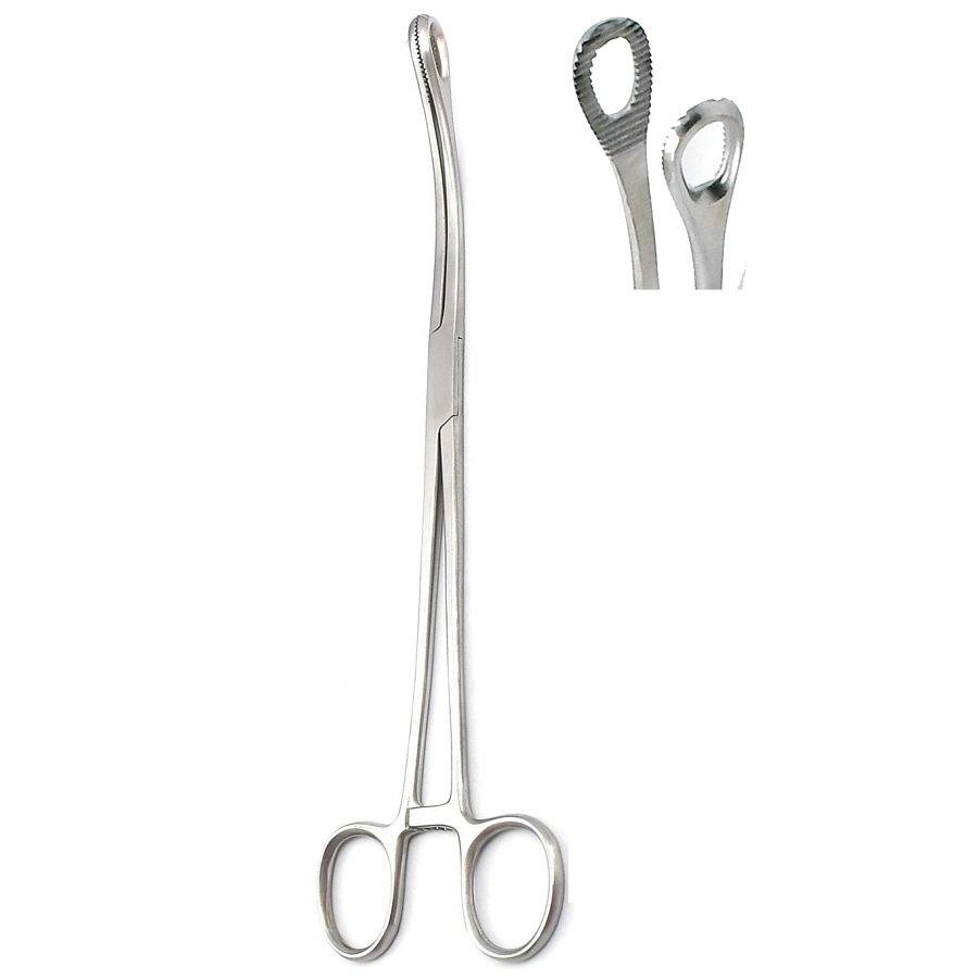 Foerster-Ballenger Sponge Holding and Gall Bladder Forceps, Serrated, Curved, 25cm