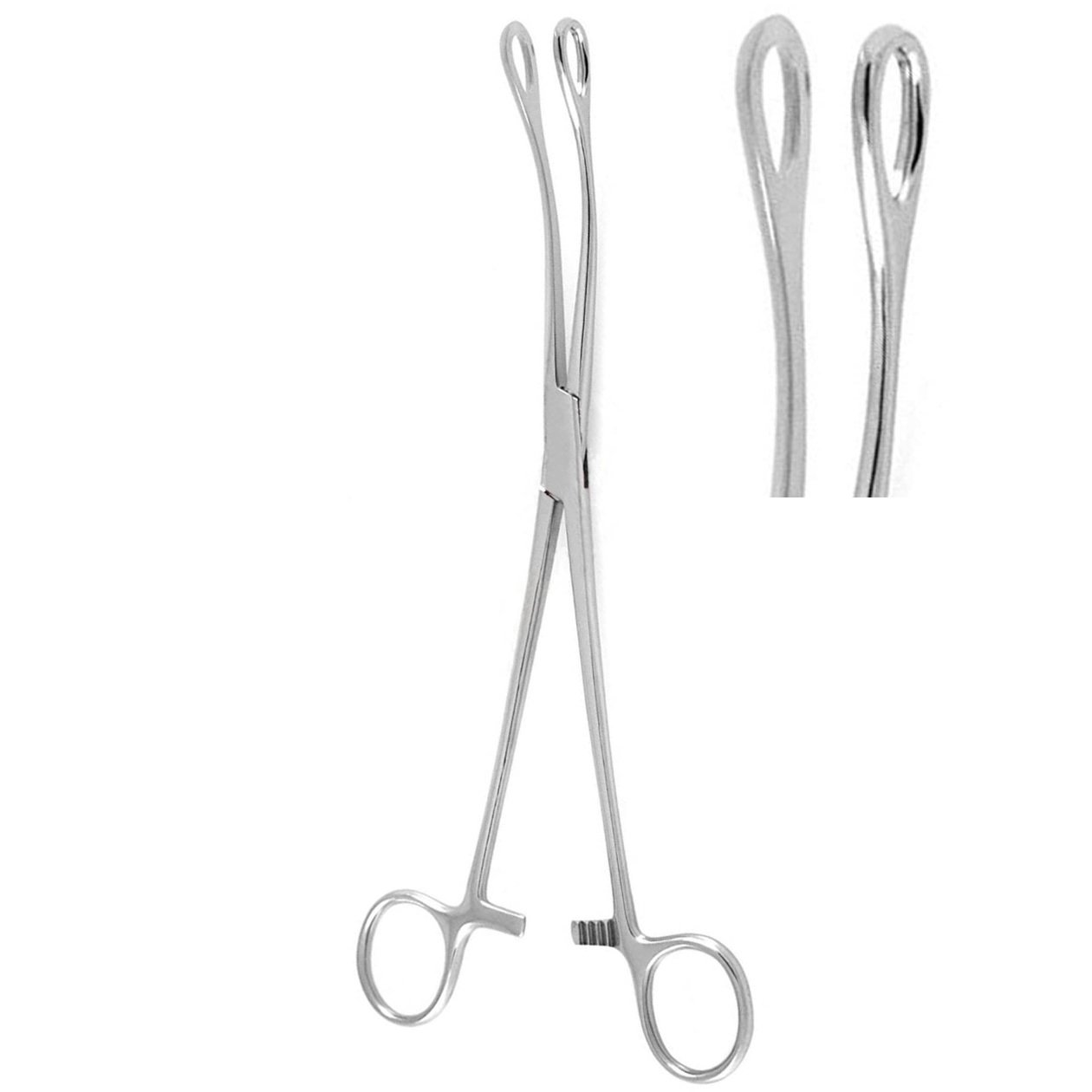 Foerster-Ballenger Sponge Holding and Gall Bladder Forceps, Smooth, Curved, 20cm