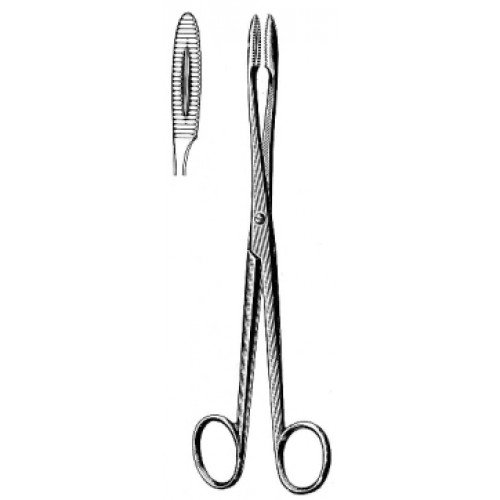 Gross Maier Dressing Forceps, Straight, Serrated Jaws, 18cm