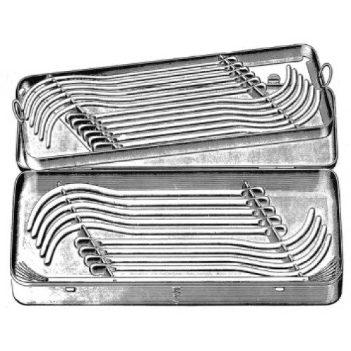 Guyon Urethral Bougies set of 21, 10-30 FG (French Gauge), 8-36 FG (French Gauge), 420x175x40mm