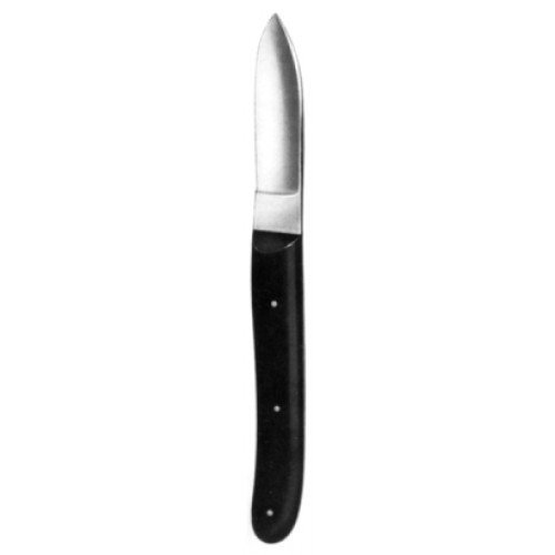 Hopkins Plaster Knife with Plastic Handle, 20cm