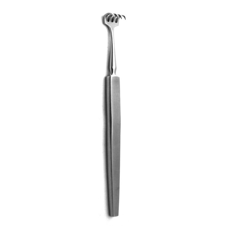 Knapp Hook Retractor, 4 Prongs, Sharp, 0.6cm wide, 16cm