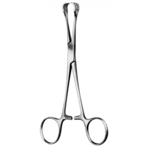 Lahey Goitre Seizing Forceps, 3×3 Teeth, 15cm