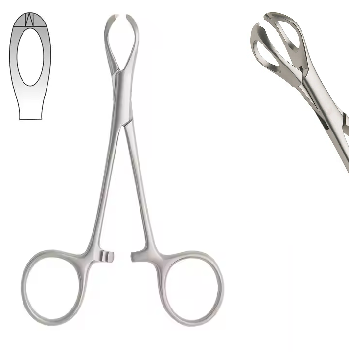 Lane Tissue Forceps, 1×2 Teeth, Fenestrated, 12.5cm