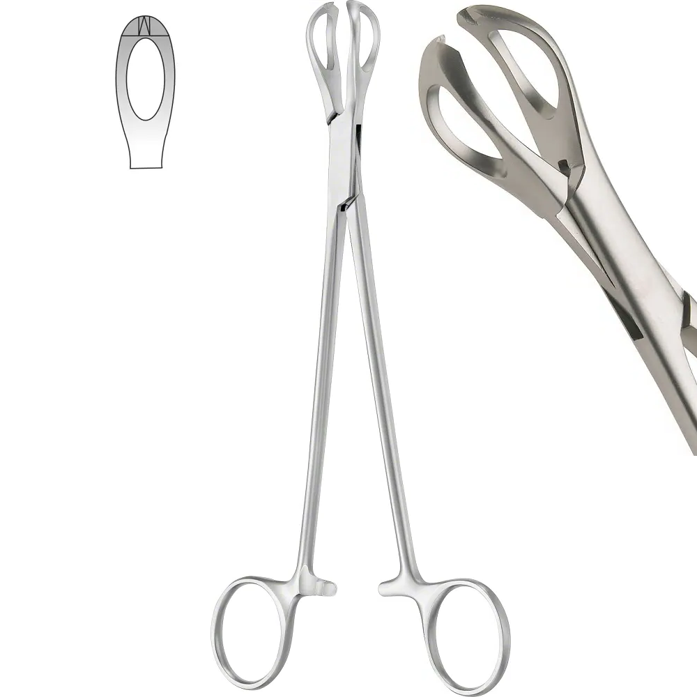 Lane Tissue Forceps, 1×2 Teeth, Fenestrated, 19cm