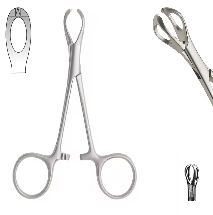 Lane Tissue Forceps, Blunt Jaws, 12.5cm
