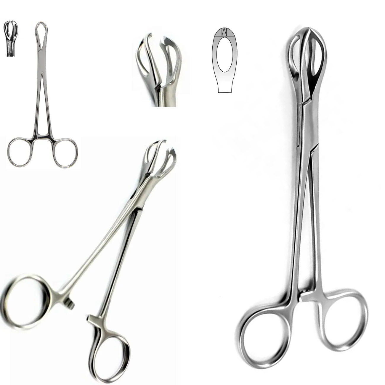 Lane Tissue Forceps, Blunt Jaws, 15cm