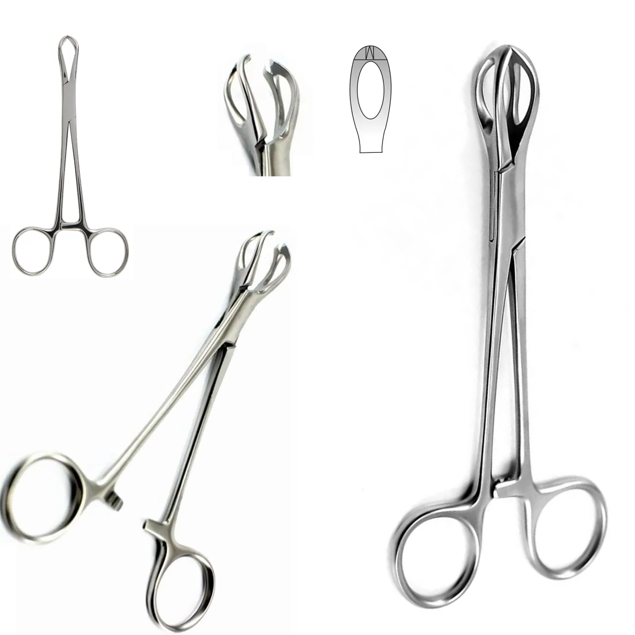 Lane Tissue Forceps, Fenestrated, 1×2 Teeth, 15cm
