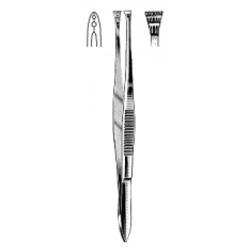 Ogura Tissue Forceps 11cm