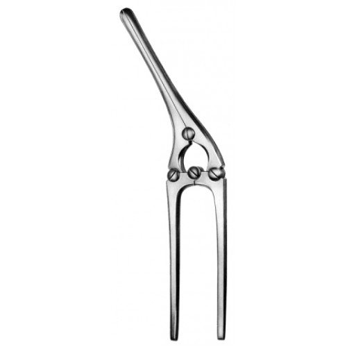 Payr Intestinal Crushing Clamp with pin 29cm