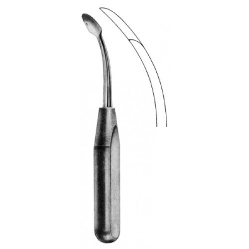 Raspatory with Fibre Handle, Curved, 14mm, 20cm
