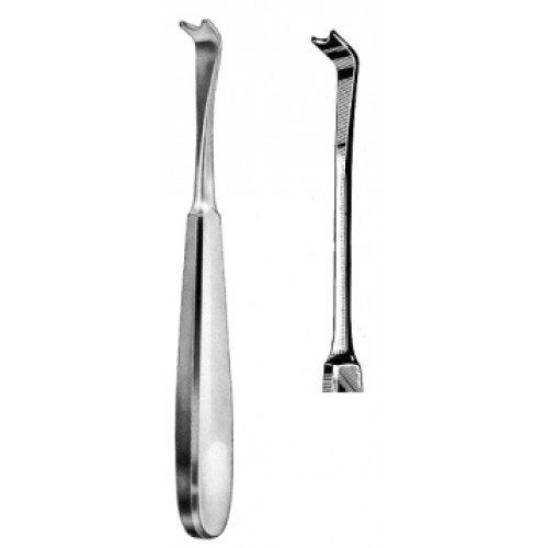 Semb Costal Periosteal 21cm