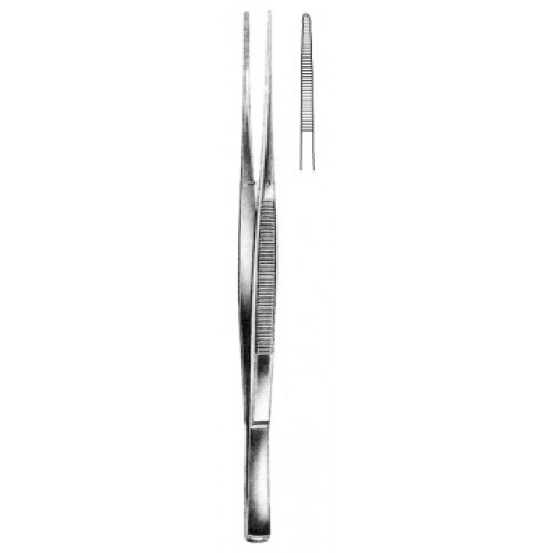 Taylor Dressing Forceps, Serrated, Straight, 18.5cm