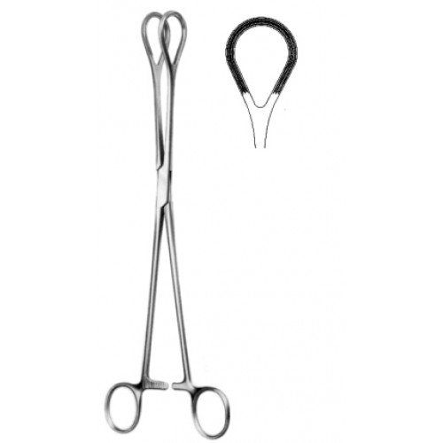 Tissue and Organ Holding Forceps Atraumatic, 25cm
