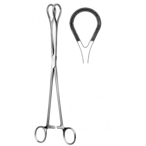 Tissue and Organ Holding Forceps Atraumatic, 26cm
