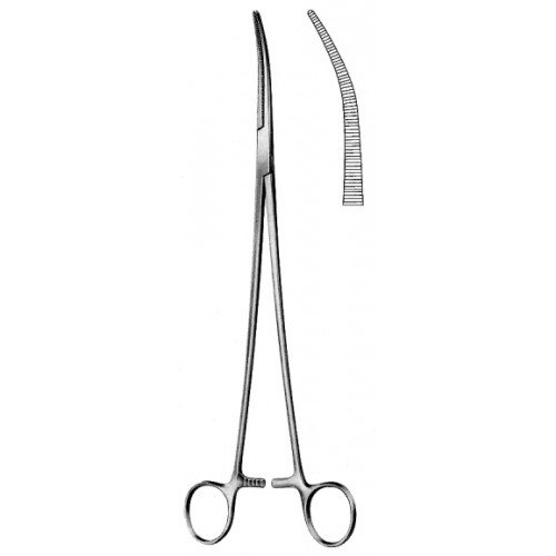 Zenker Bronchus Forceps, Slightly Curved, 29.5cm